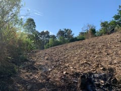 Terreno en venta en Buena Vista – foto 11