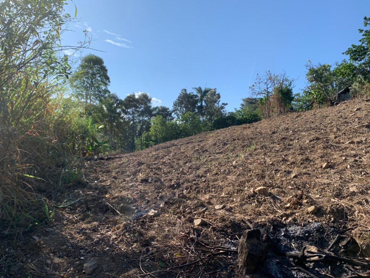 Terreno en Venta en Buena Vista, – foto 11