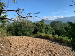 Terreno en venta en Buena Vista – foto 12