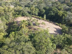 Terreno en venta en Buena Vista – foto 10