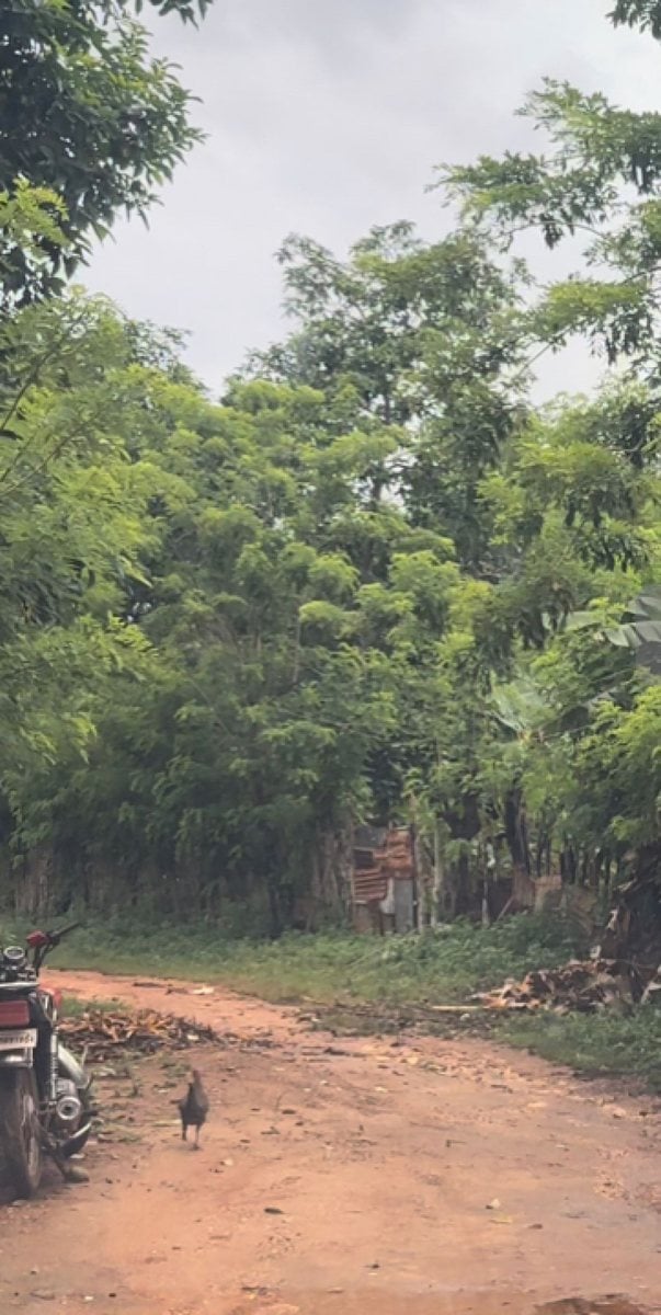 Terreno En Las Galeras, Samaná – foto 3