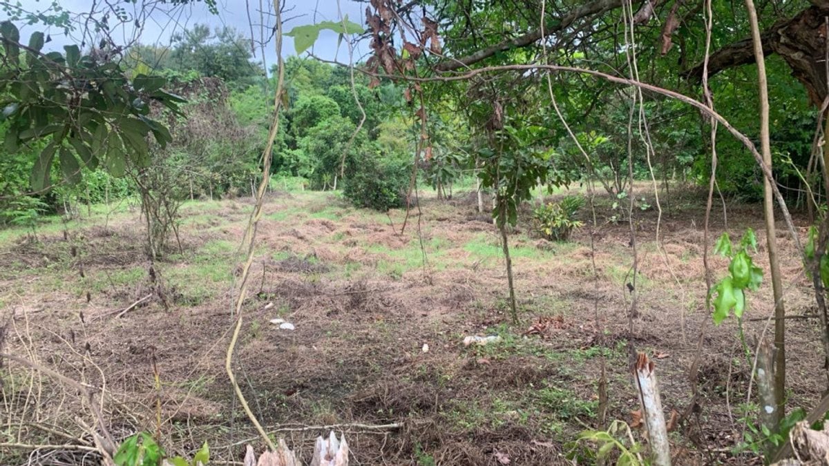 Terreno en Santo Domingo Este, San Luis – foto 2