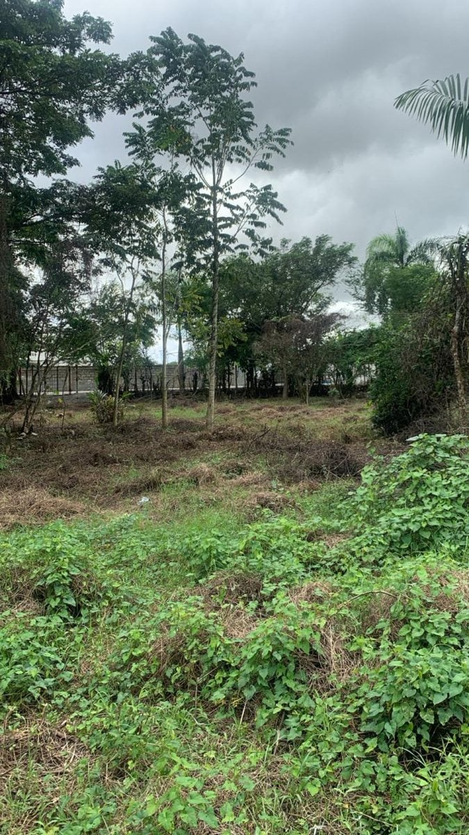 Terreno en Santo Domingo Este, San Luis – foto 4