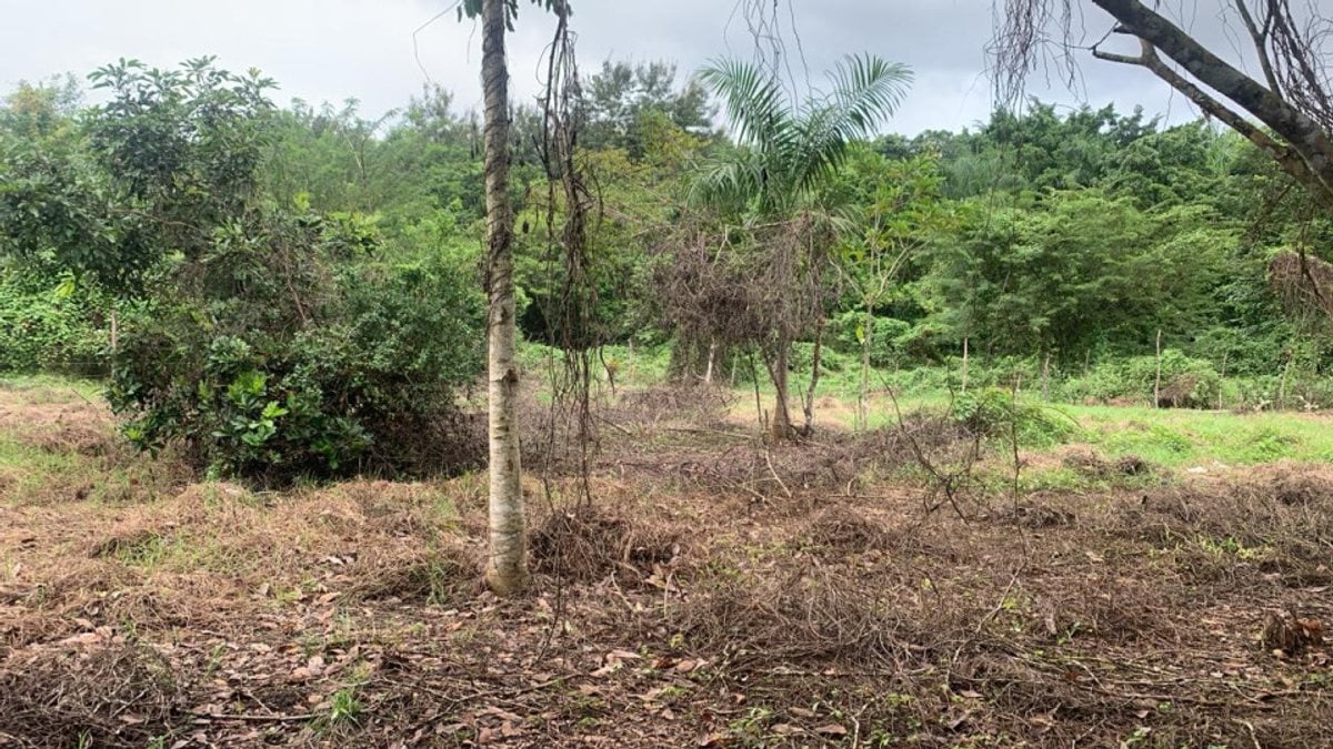 Terreno en Santo Domingo Este, San Luis – foto 3