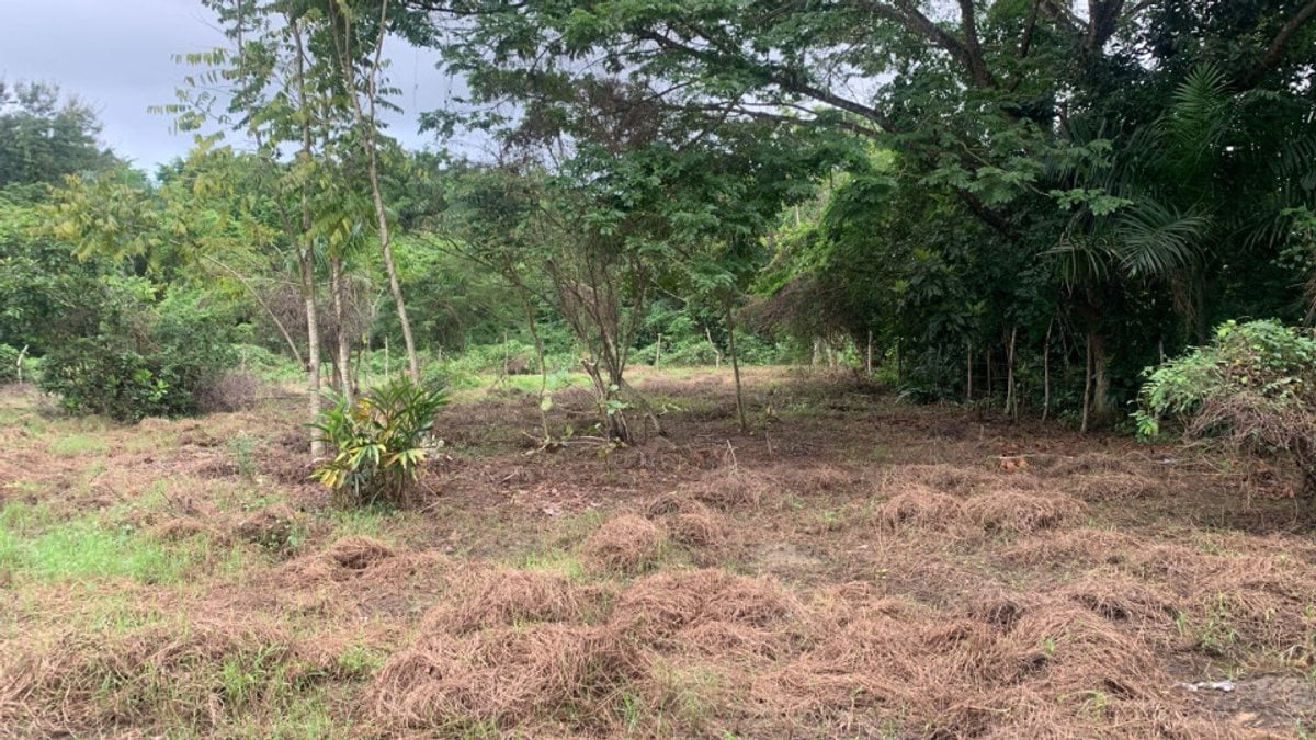 Terreno en Santo Domingo Este, San Luis – foto 1