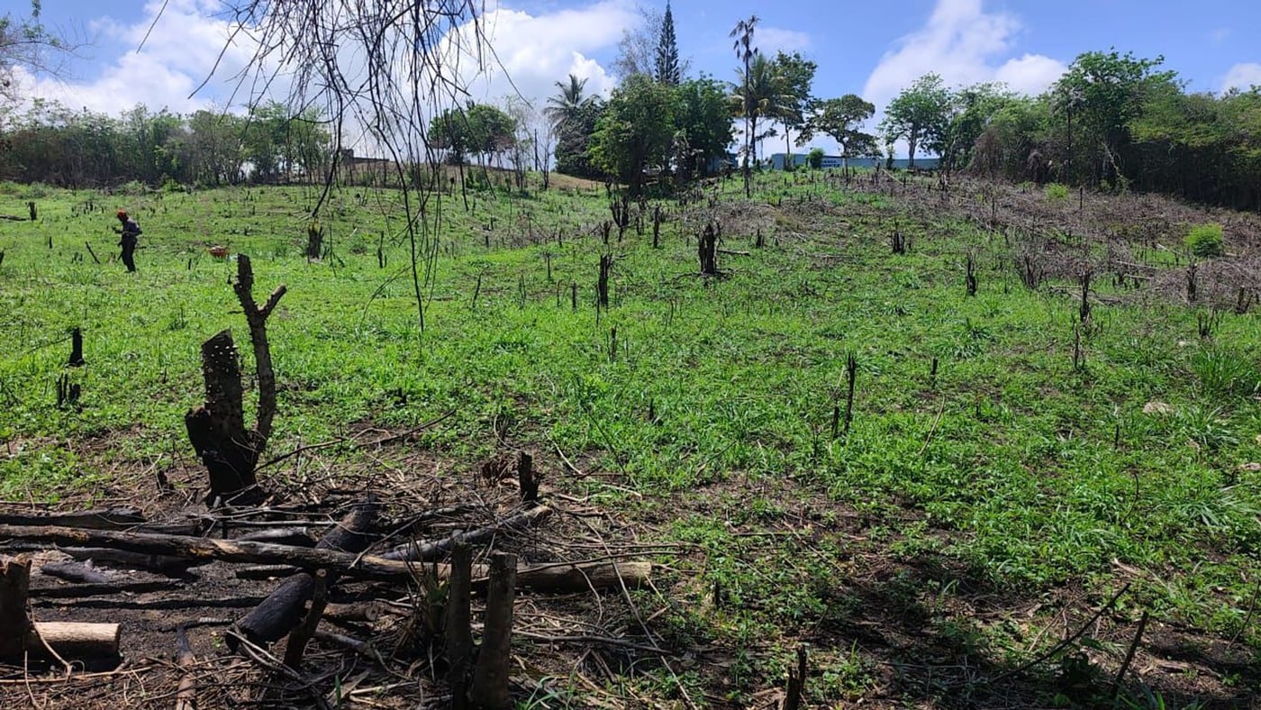 Terreno en venta - Bajos de Haina – foto 7