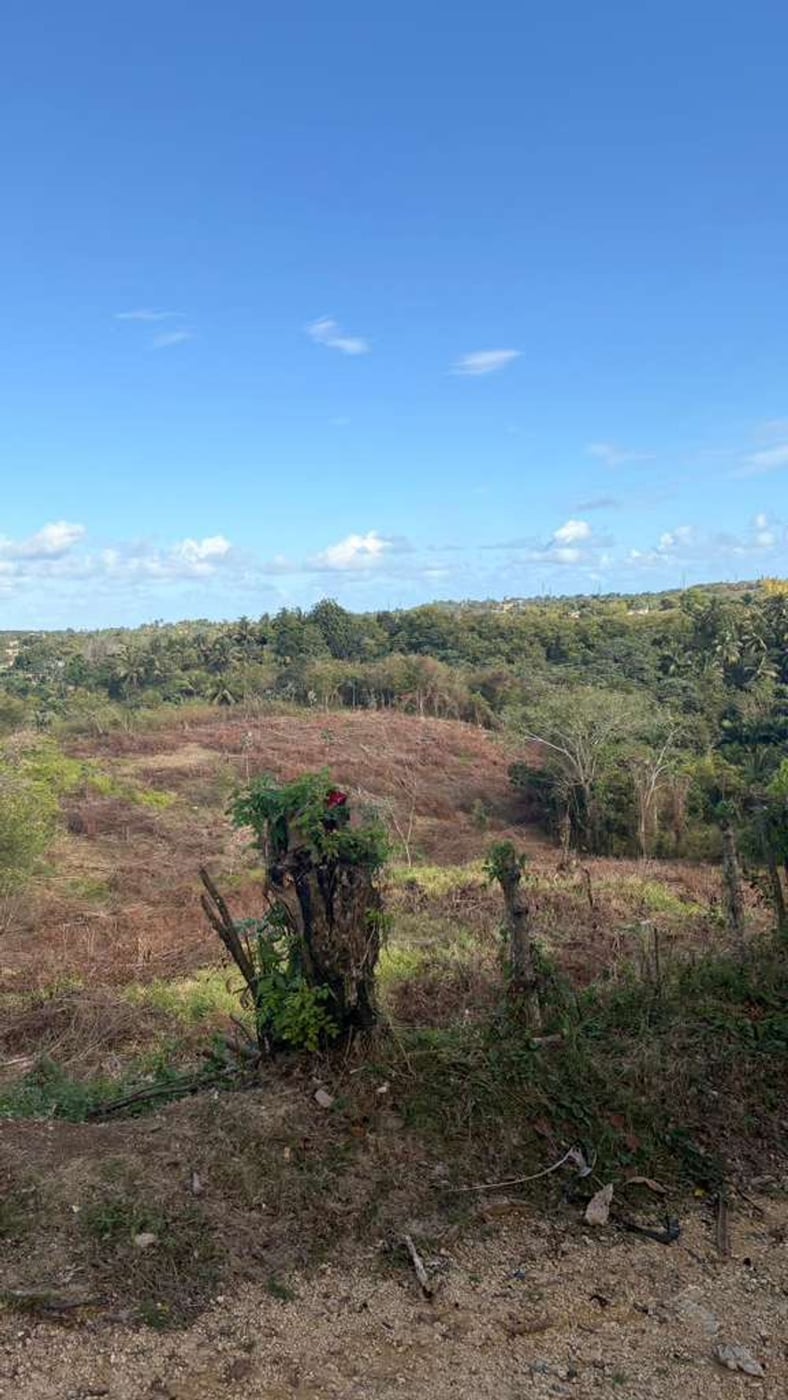 Terreno en venta - Bajos de Haina – foto 3