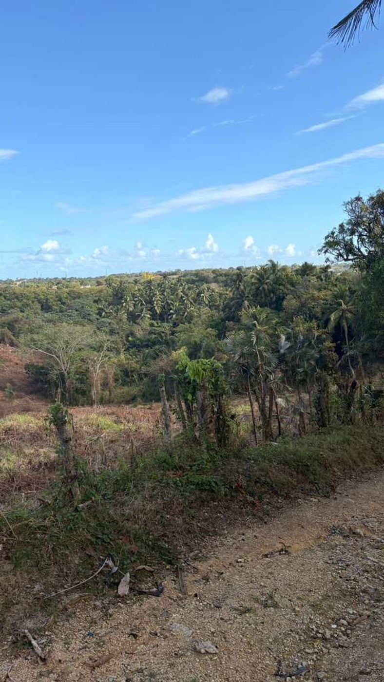 Terreno en venta - Bajos de Haina – foto 5