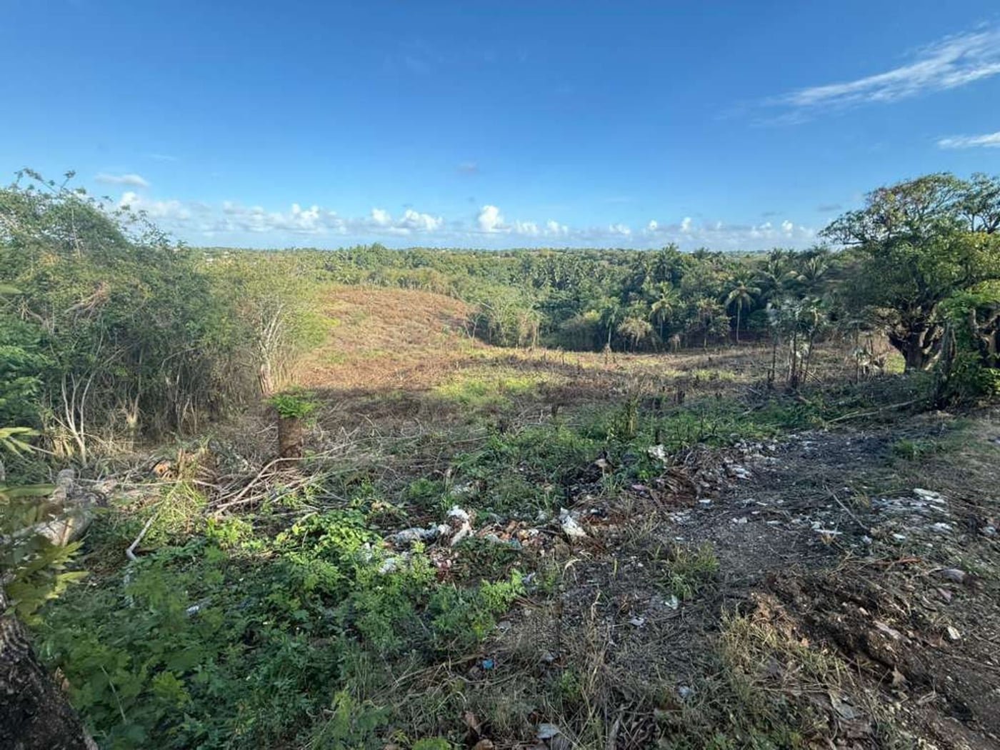 Terreno en venta - Bajos de Haina – foto 1