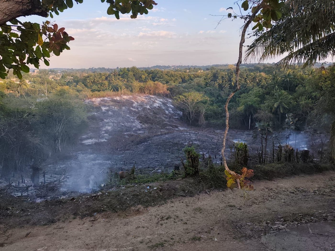 Terreno en venta - Bajos de Haina – foto 2