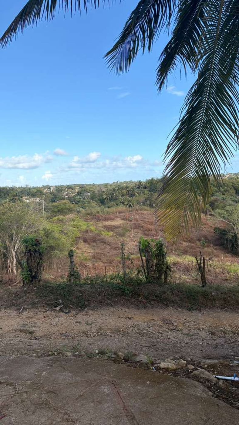 Terreno en venta - Bajos de Haina – foto 6