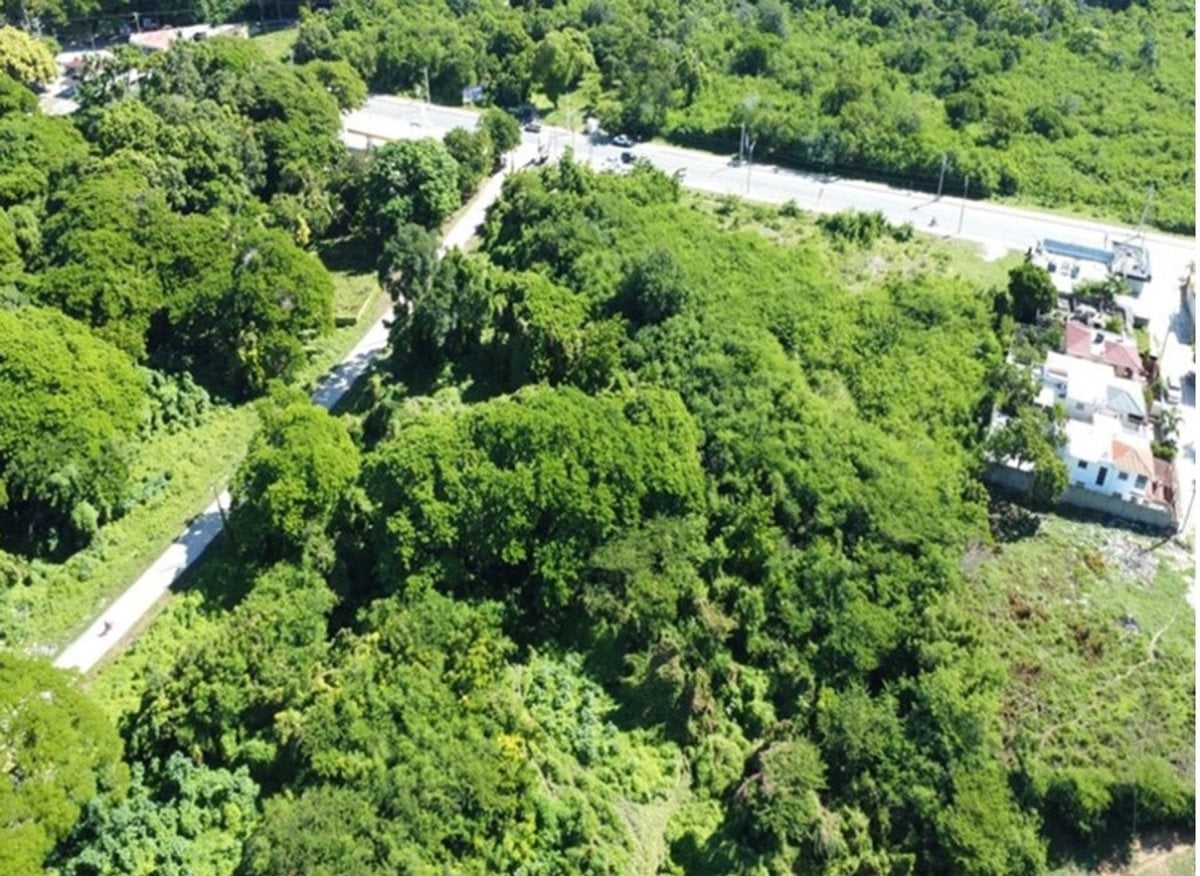 TERRENO EN VENTA 11158 M² CERRO DE SALADILLOS BARA – foto 6