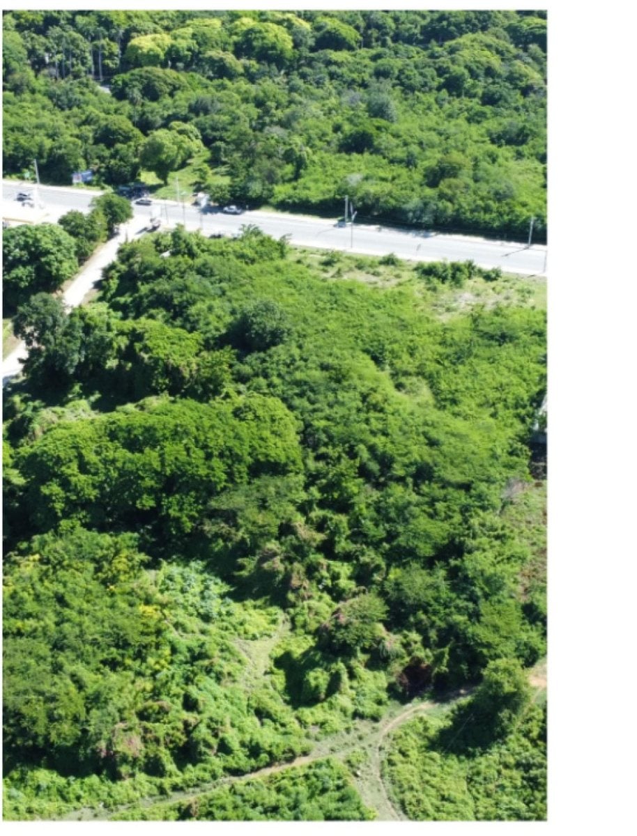 TERRENO EN VENTA 11158 M² CERRO DE SALADILLOS BARA – foto 2