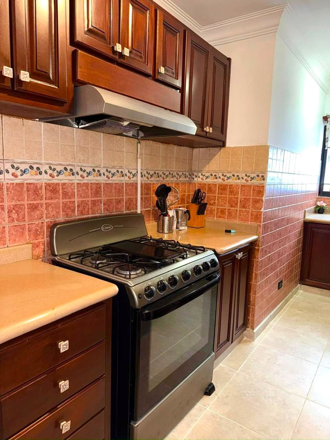 Apartamento Amueblado en Alquiler Evaristo Morales – foto 9