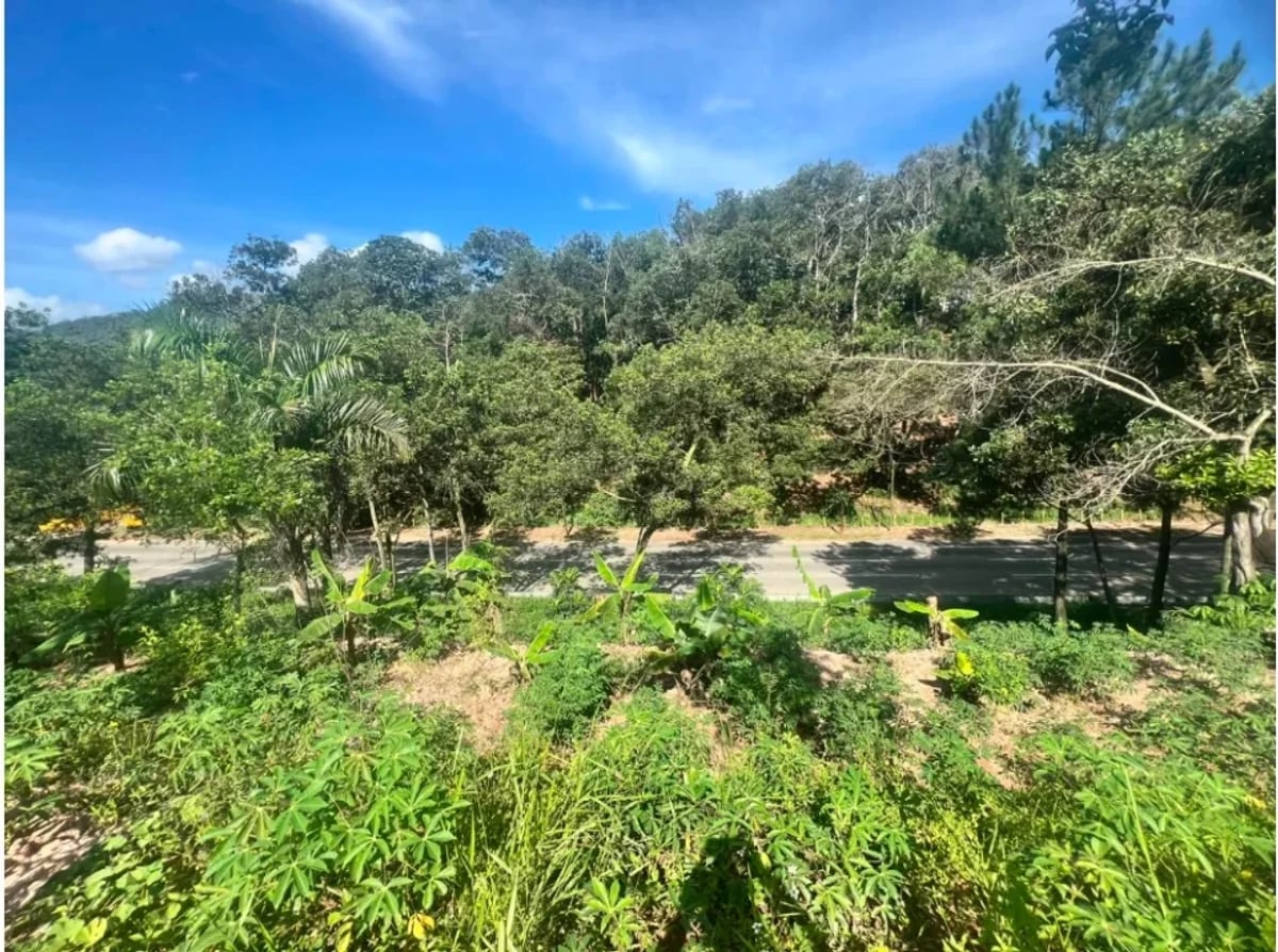 Terreno en Venta en Pueblo Nuevo, Piedra Blanca – foto 1