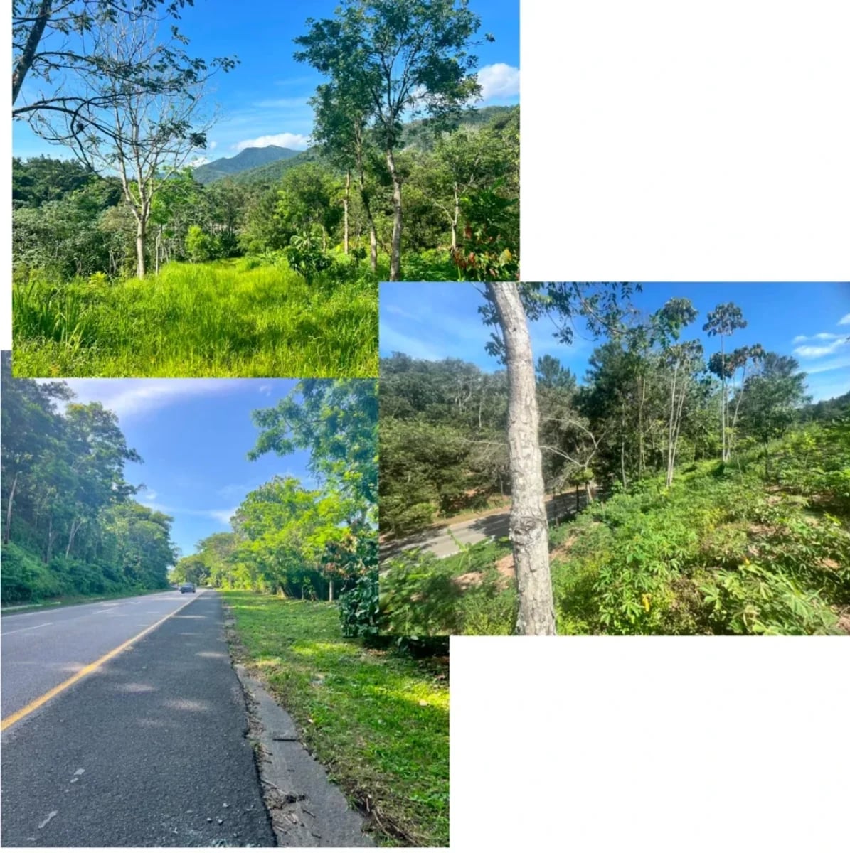 Terreno en Venta en Pueblo Nuevo, Piedra Blanca – foto 2
