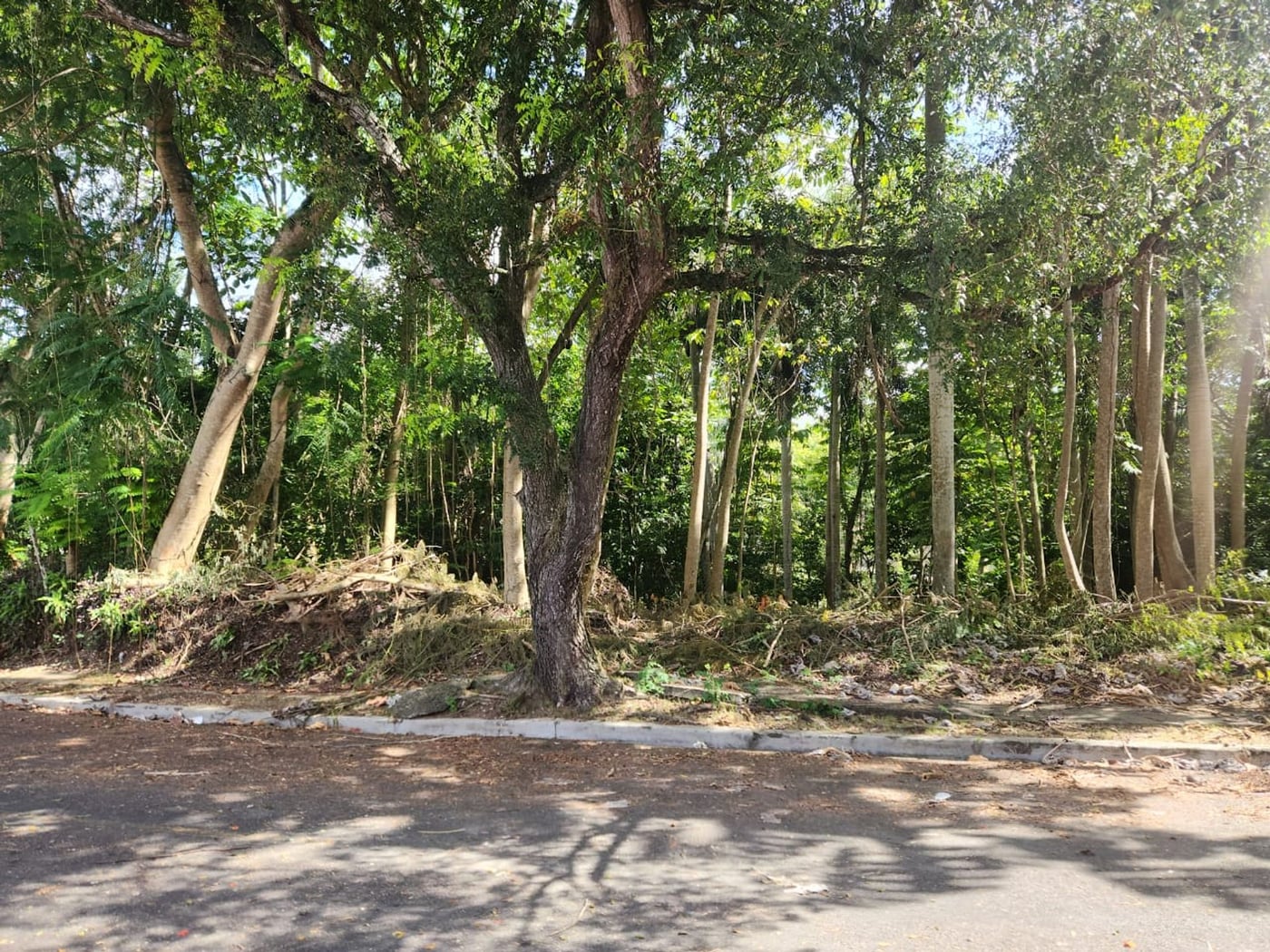Terreno en venta en Cuesta Brava, Arroyo Hondo – foto 1