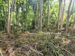 Terreno en venta en Cuesta Brava, Arroyo Hondo – foto 6