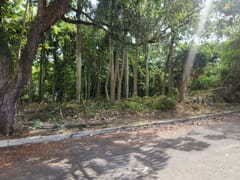 Terreno en venta en Cuesta Brava, Arroyo Hondo – foto 3