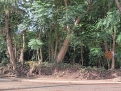 Terreno en venta en Cuesta Brava, Arroyo Hondo – foto 2