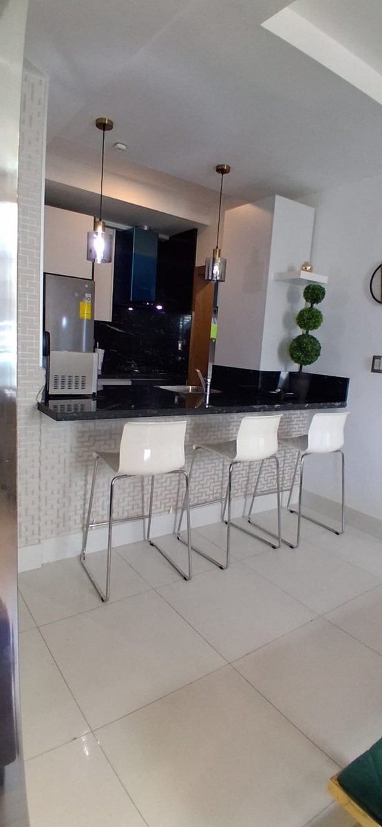 Alquilo Apartamento Amueblado en piantini Precio US$ 1,500 – foto 6