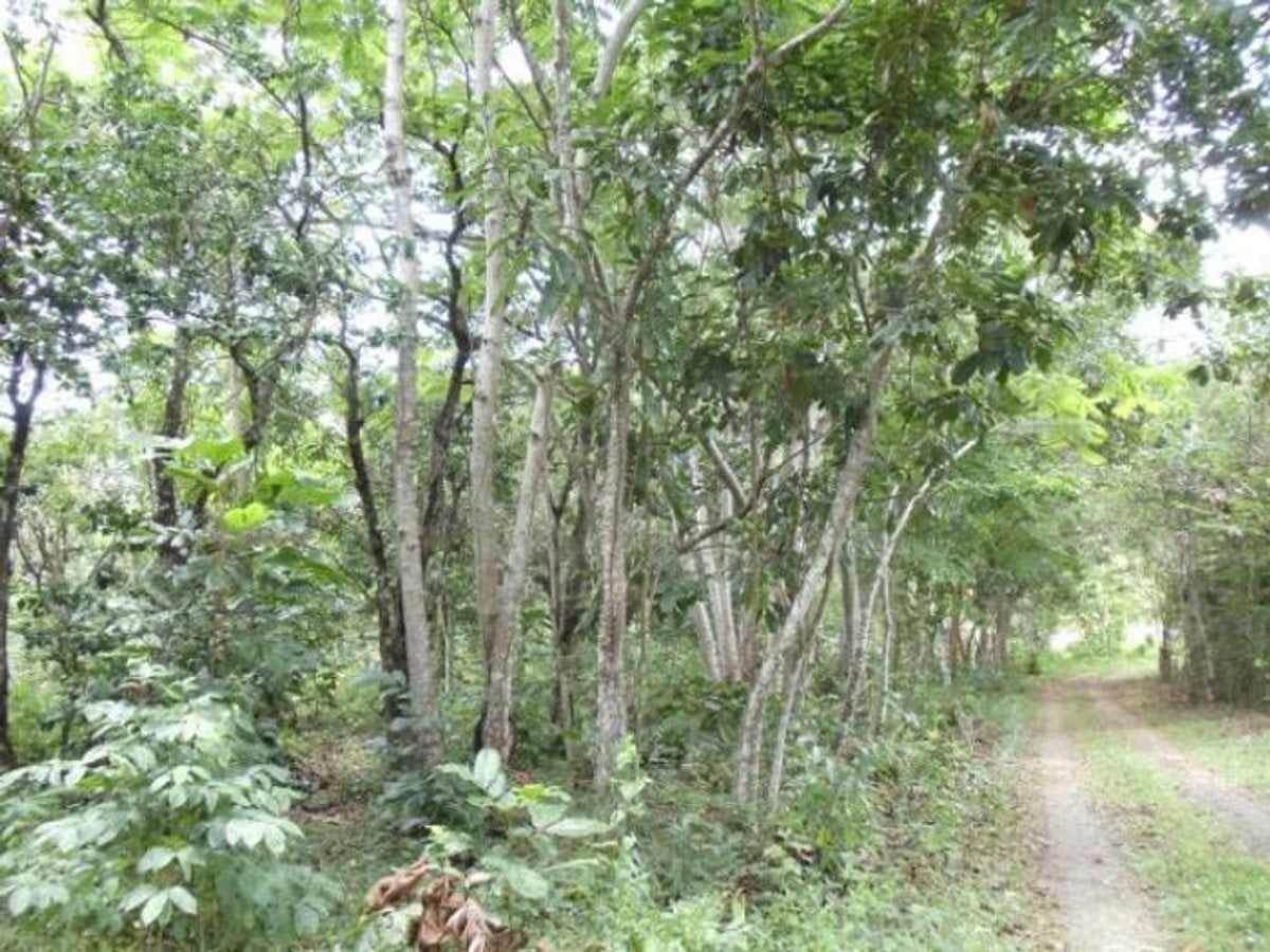 Terreno En Lomas Lindas, Santo Domingo De Guzmán – foto 3