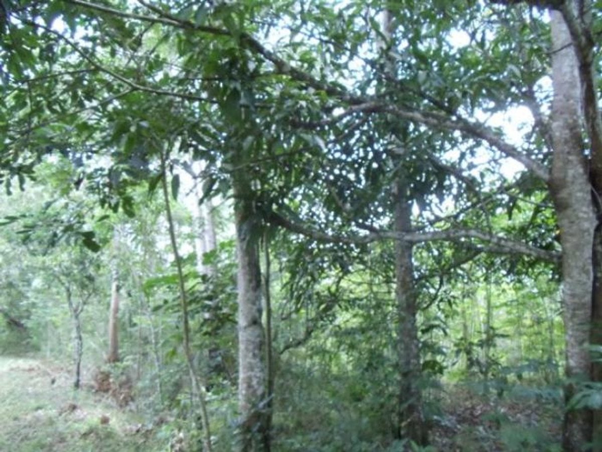 Terreno En Lomas Lindas, Santo Domingo De Guzmán – foto 4