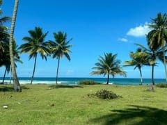 Terreno en venta en Nagua, Los Yayales, 16,735 m² – foto 2