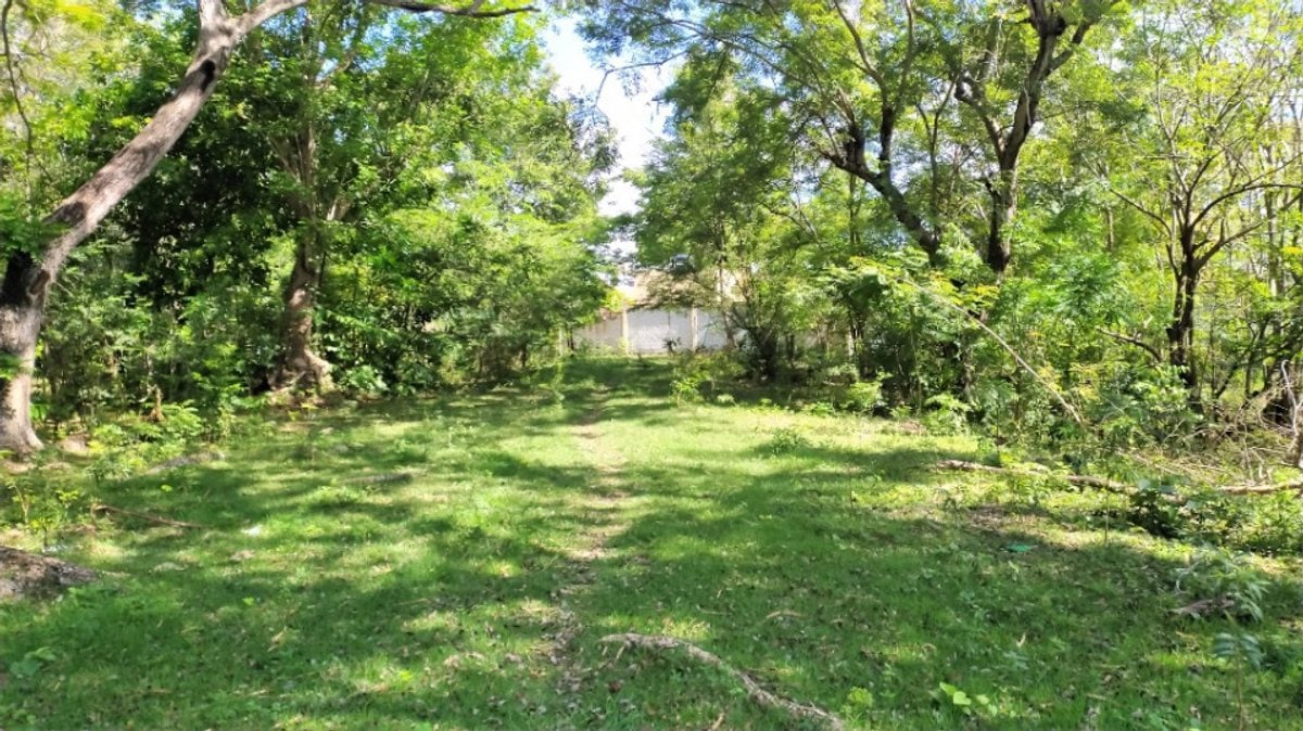 Terreno en Nigua Norte I, San Gregorio – foto 8
