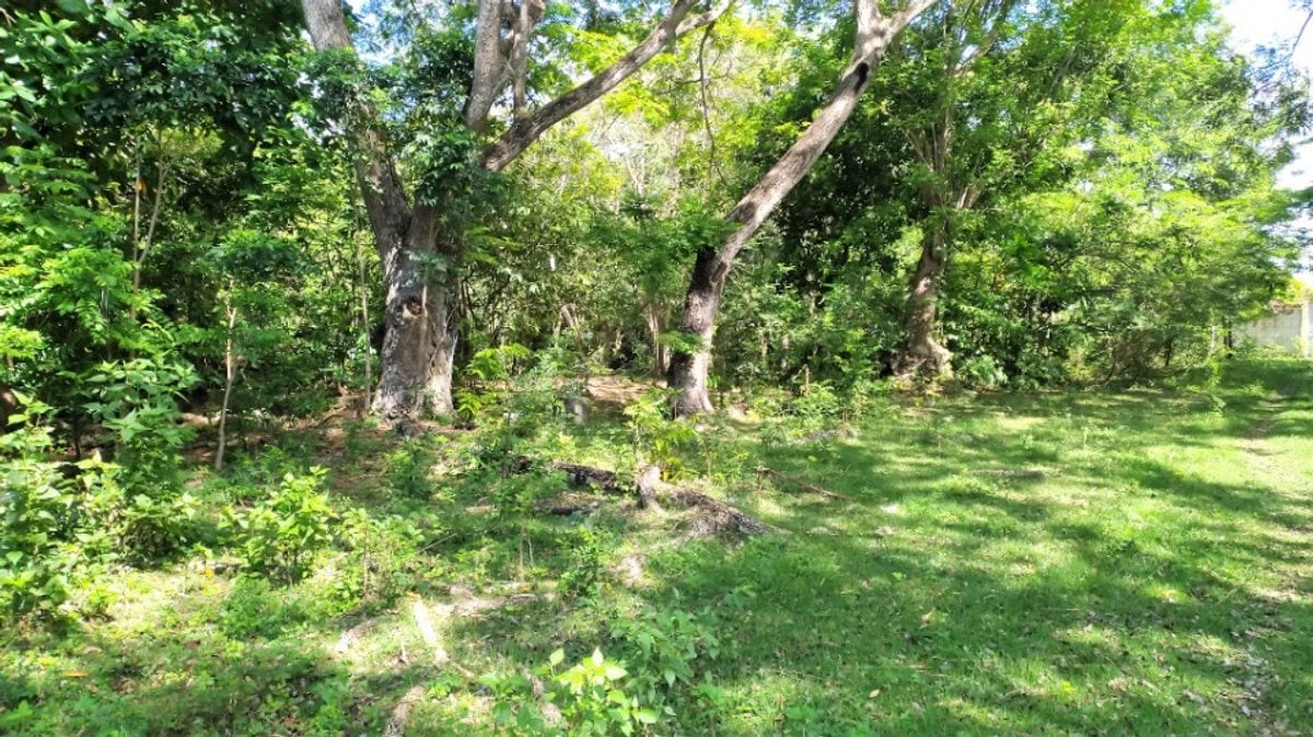 Terreno en Nigua Norte I, San Gregorio – foto 9