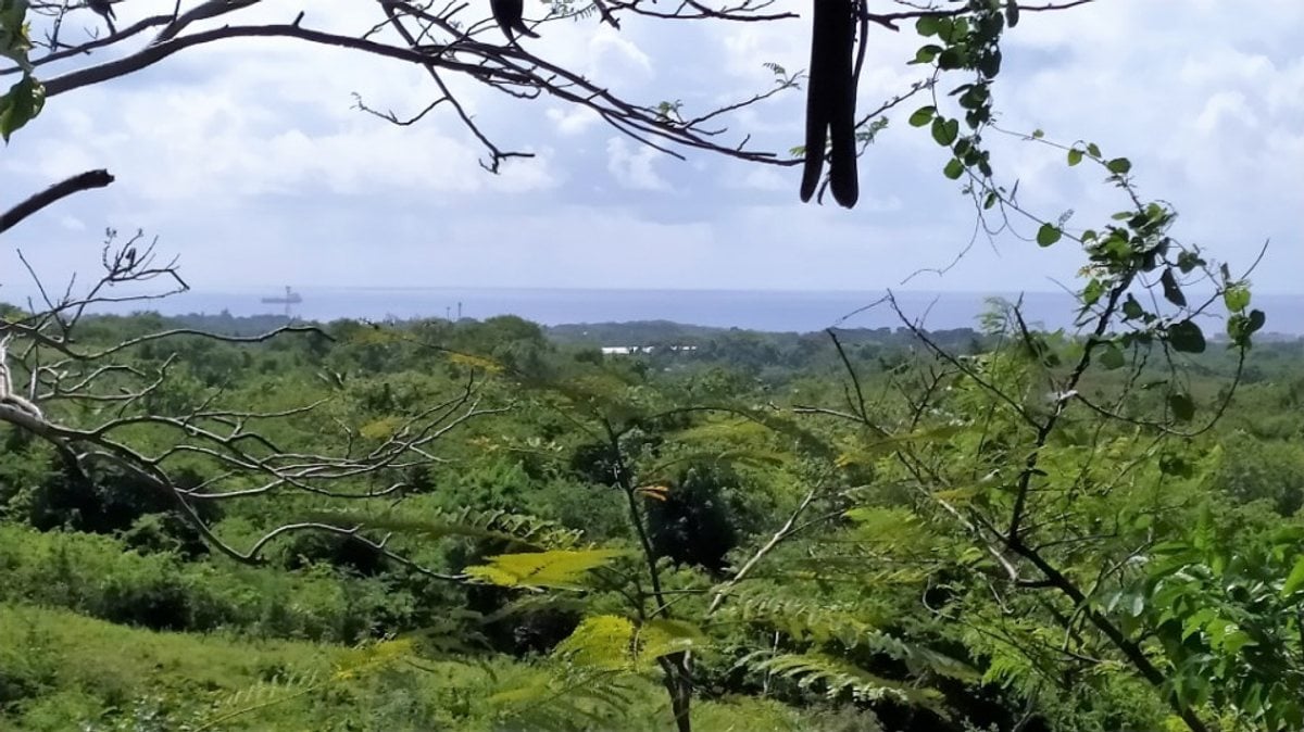 Terreno en Nigua Norte I, San Gregorio – foto 3