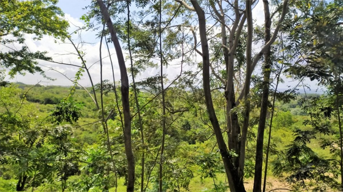 Terreno en Nigua Norte I, San Gregorio – foto 6