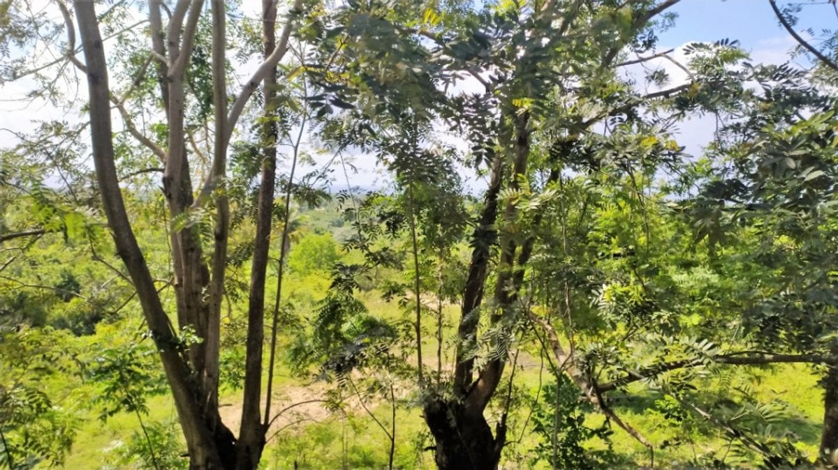 Terreno en Nigua Norte I, San Gregorio – foto 5