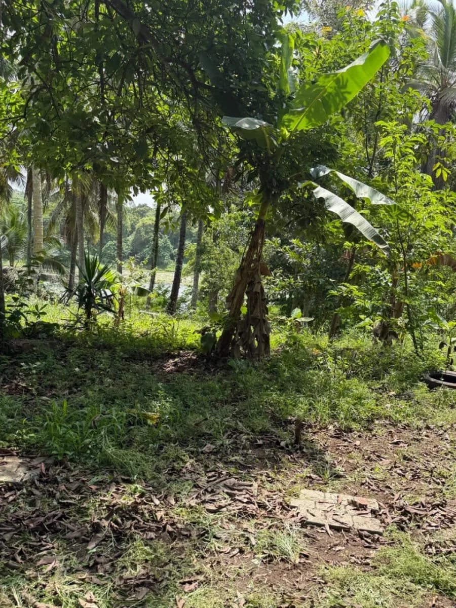 Finca en venta junto al Río Haina, en Hato Dama, SC – foto 3