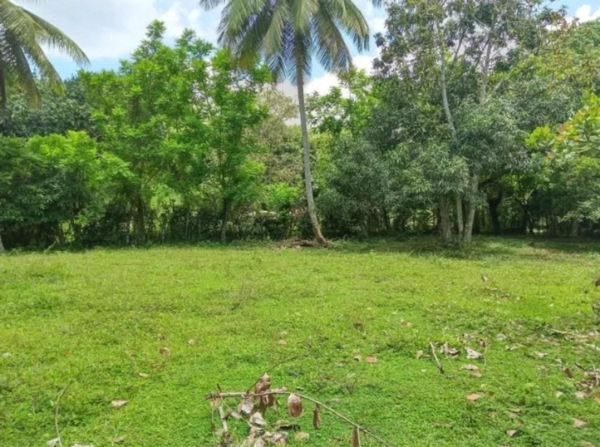 Terreno en venta – foto 5