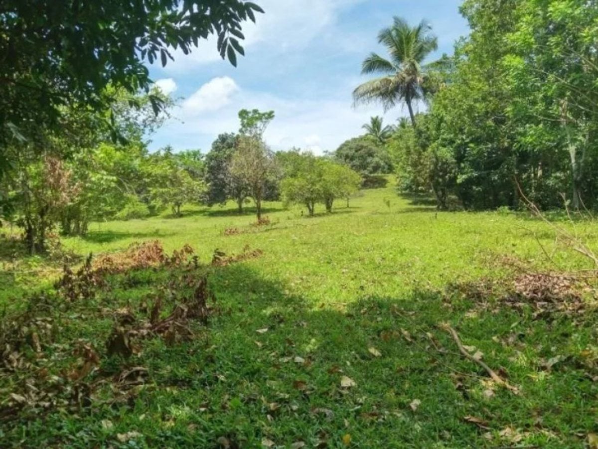 Terreno en venta – foto 3