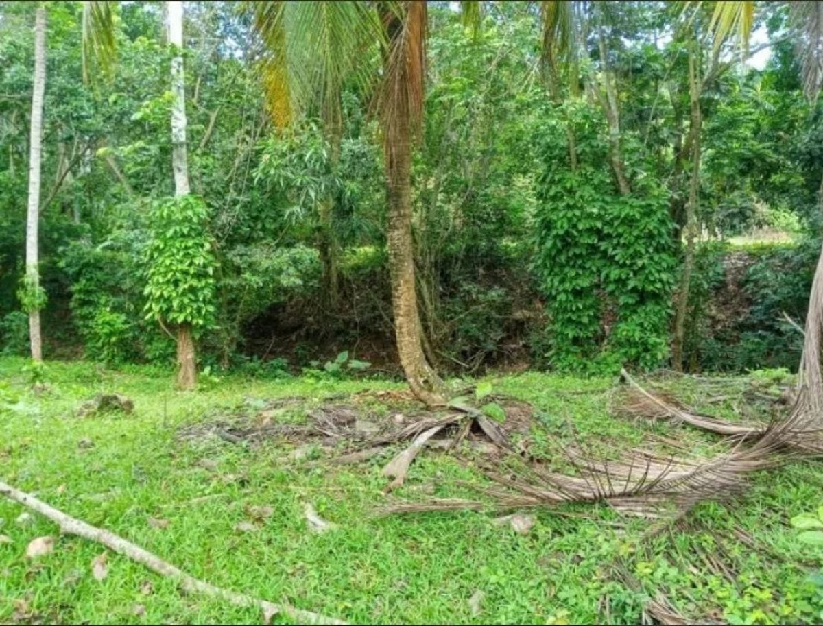 Terreno en venta – foto 2