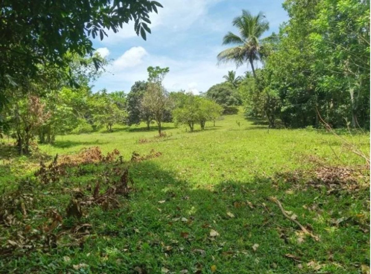 Terreno en venta – foto 1