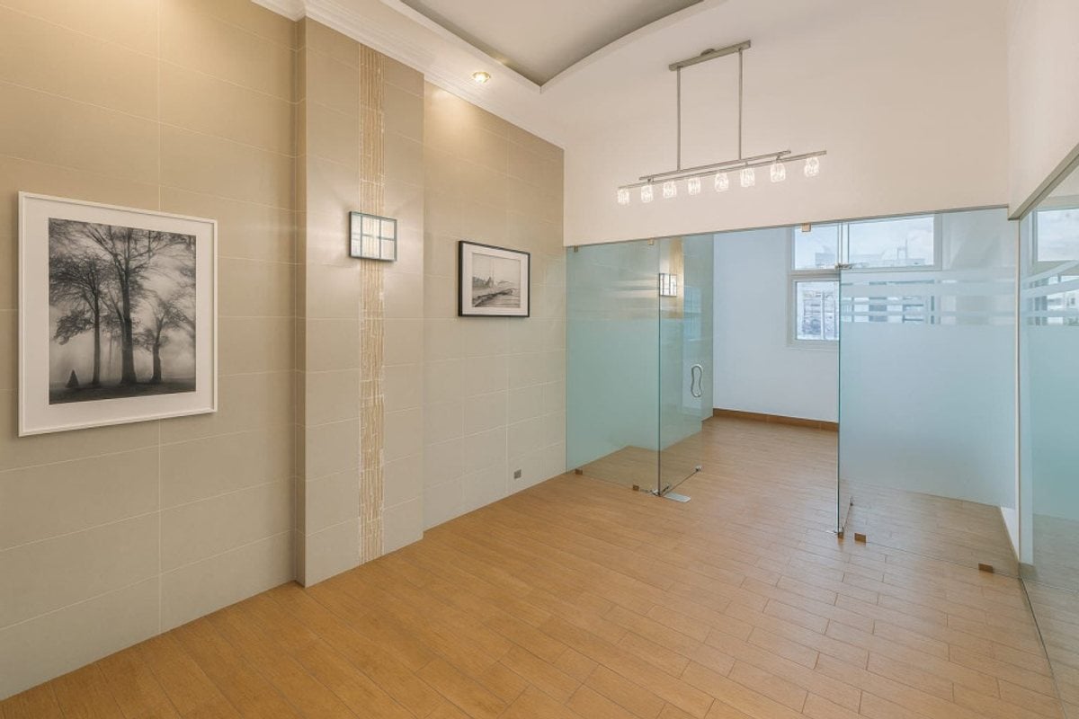 Local comercial amueblado en Piantini – foto 1