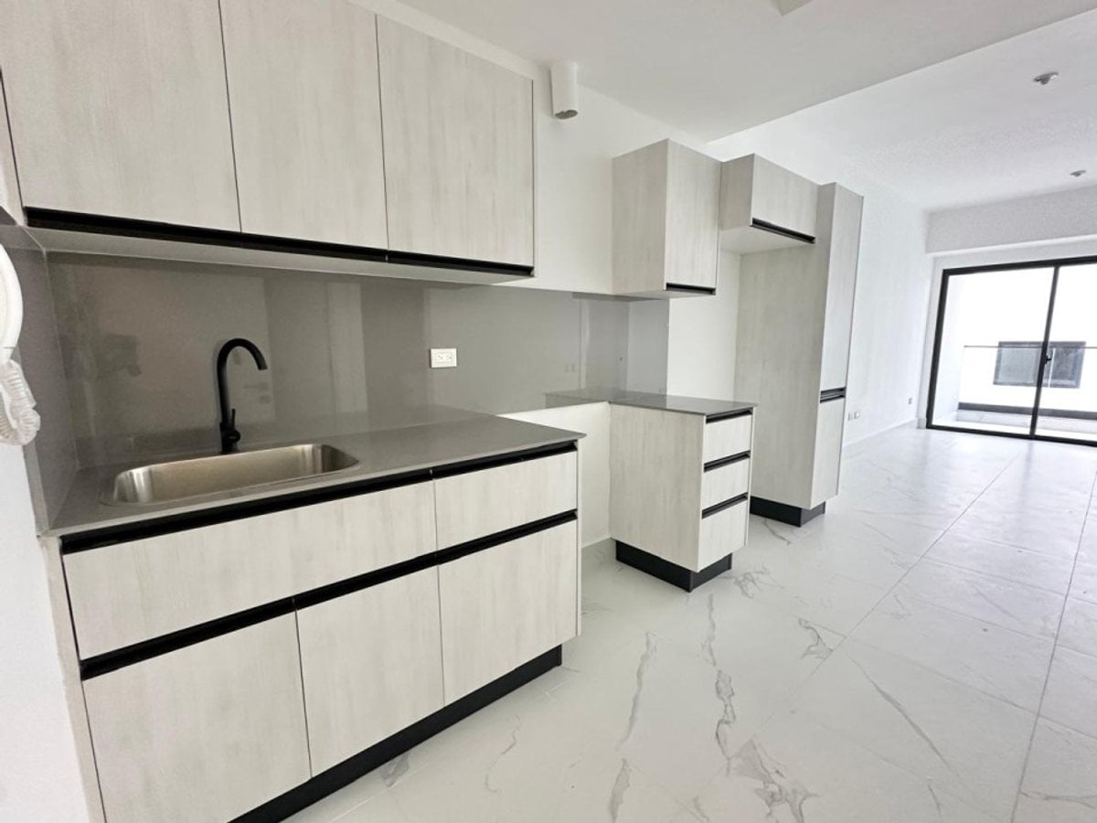 Alquilo Apartamento de 1 Hab en Evaristo Morales – foto 2