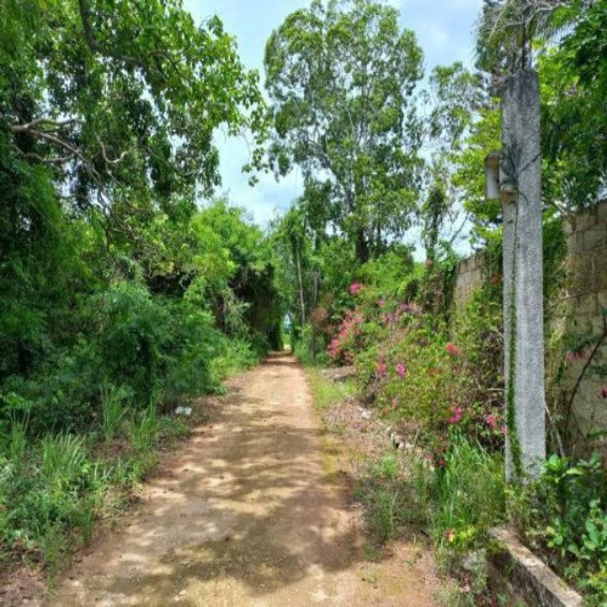 Casa en Juan Dolio, San Pedro de Macorís – foto 11