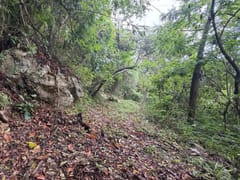 Terreno en venta en Carretera Enriquillo, Paraíso – foto 7