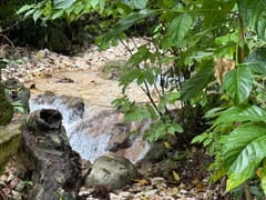 Terreno en venta en Carretera Enriquillo, Paraíso – foto 2