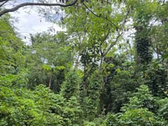 Terreno en venta en Carretera Enriquillo, Paraíso – foto 3