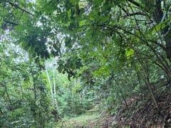 Terreno en venta en Carretera Enriquillo, Paraíso – foto 6