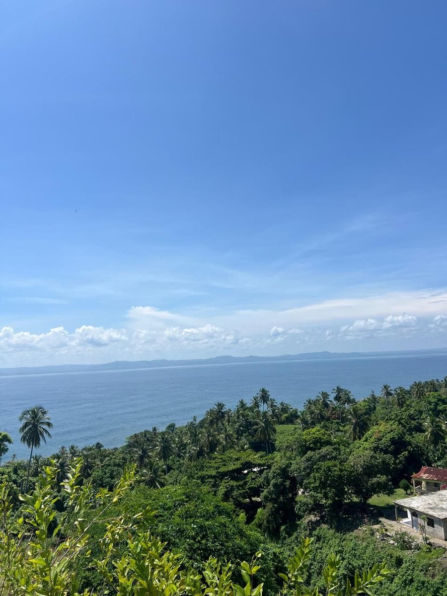 Terreno en Carretera Samaná - Las Galeras – foto 3