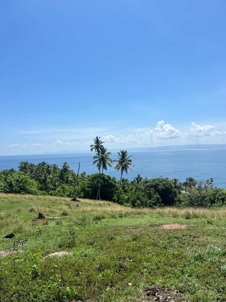 Terreno en Carretera Samaná - Las Galeras – foto 6