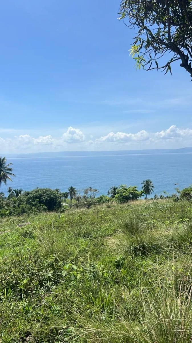 Terreno en Carretera Samaná - Las Galeras – foto 4