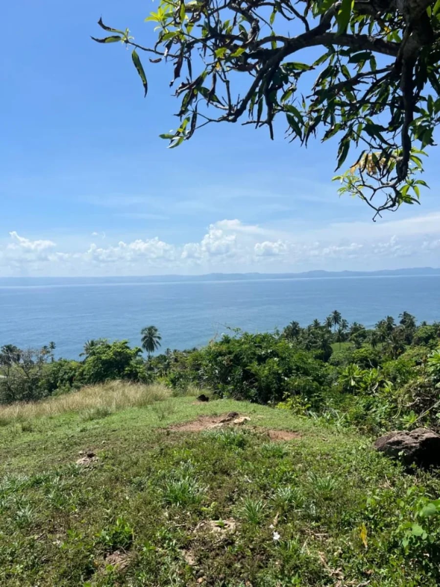 Terreno en Carretera Samaná - Las Galeras – foto 7