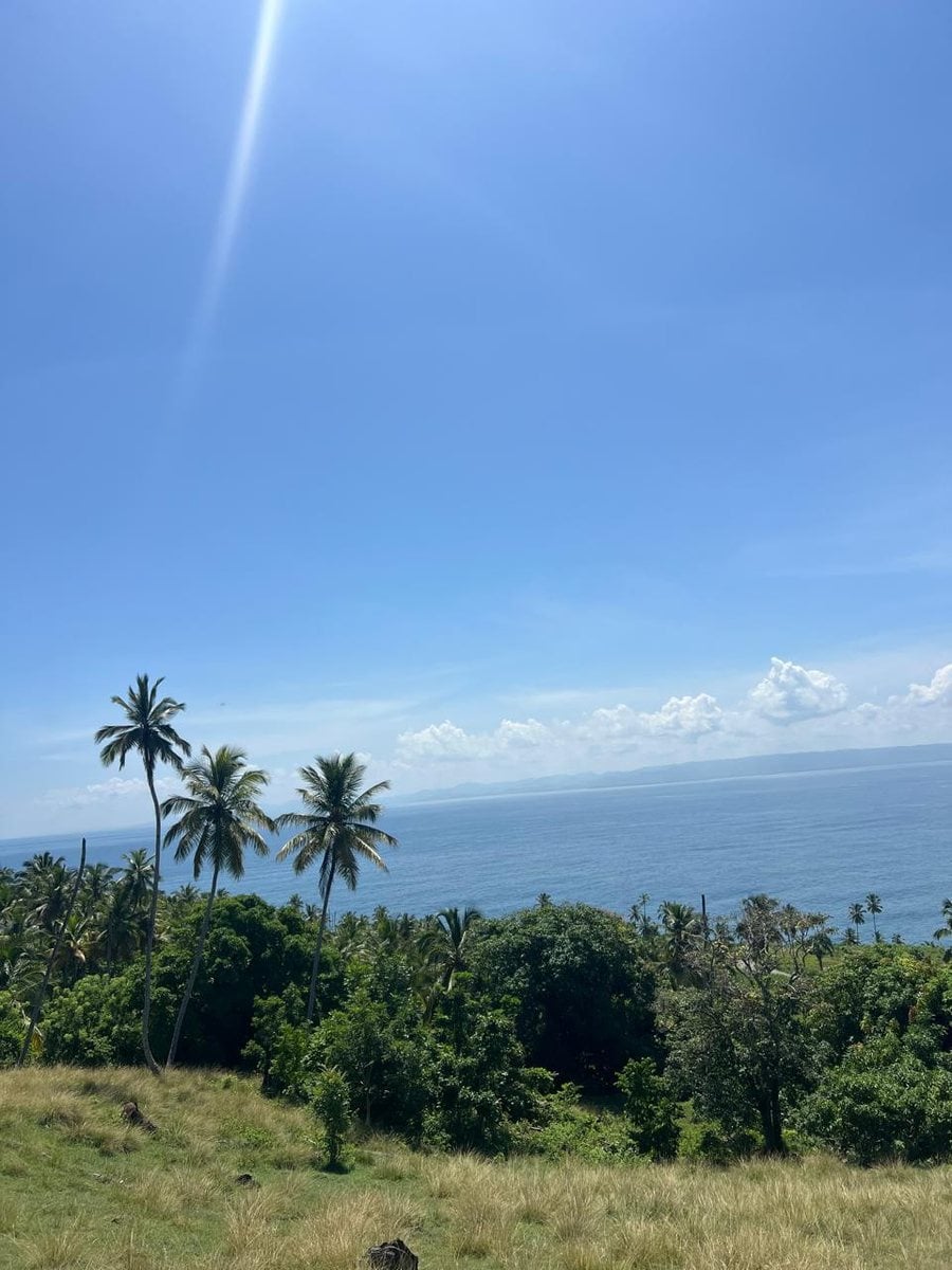 Terreno en Carretera Samaná - Las Galeras – foto 5